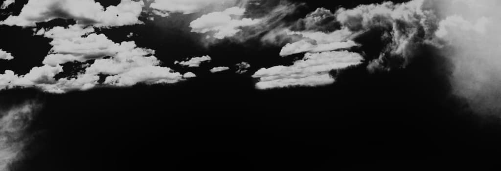 Portrait of the author